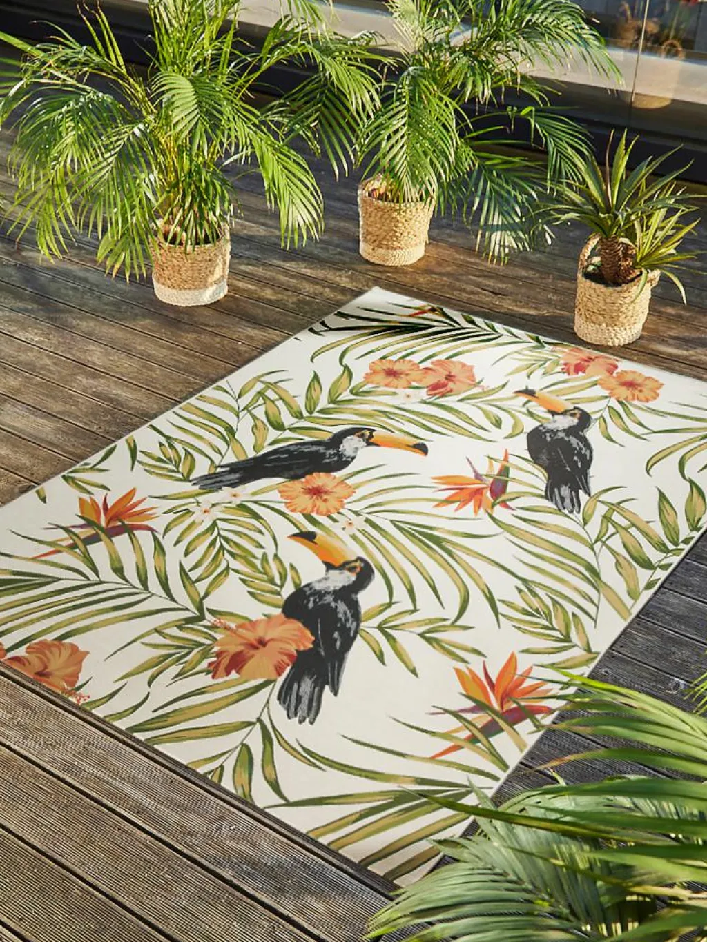 Tropical|Kibek Discount