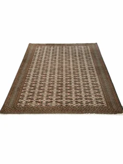 Turkeman|Kibek Clearance