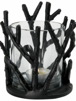 Twigs|Kibek Sale