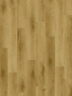 Vancouver|Kibek Hot