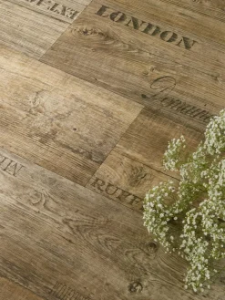 Vinechest|Kibek Outlet