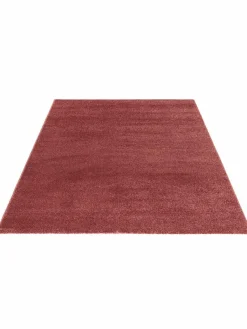 Wylie|Kibek Sale